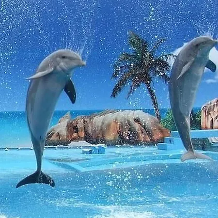 Mit Balkon By Interhome Appartement Albufeira