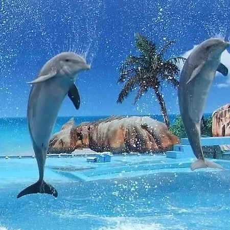 Mit Balkon By Interhome