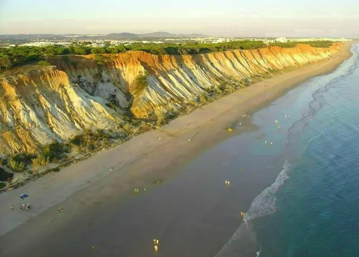 Mit Balkon By Interhome Apartment *